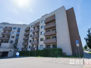 Pronájem bytu 2+kk, Brno, Kigginsova, 40 m2
