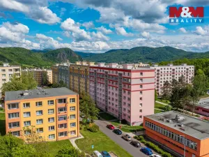 Prodej bytu 1+1, Ústí nad Labem, Peškova, 35 m2