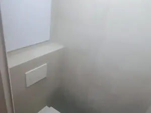 Pronájem bytu 2+1, Plasy, Babinská, 58 m2