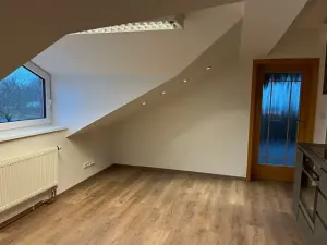 Pronájem bytu 2+1, Hradec Králové, Krunertova, 106 m2