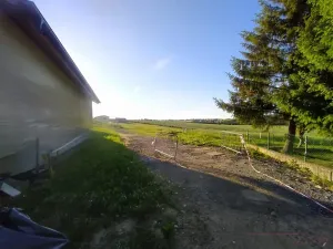 Prodej pozemku pro bydlení, Zbizuby, 1000 m2
