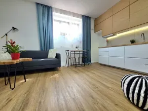 Prodej bytu 1+kk, Praha - Břevnov, Vodňanského, 28 m2