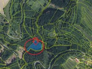 Prodej lesa, Železný Brod, 4901 m2