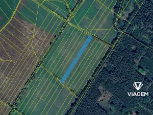 Prodej podílu pole, Velký Chlumec, 1254 m2