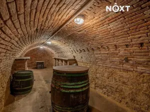 Prodej vinného sklepa, Šakvice, Sklepní, 130 m2