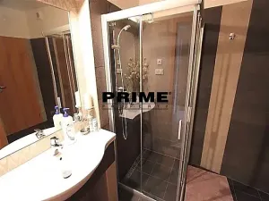 Pronájem rodinného domu, Praha - Střešovice, Nad hradním vodojemem, 350 m2