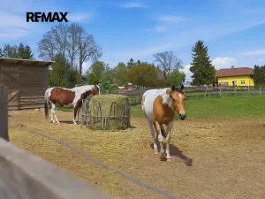 Prodej zemědělského objektu, Vyskytná nad Jihlavou, 442 m2