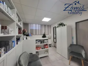 Pronájem kanceláře, Kladno, Slánská, 20 m2