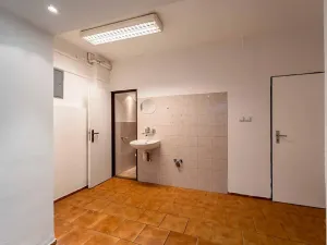 Prodej obchodního prostoru, Přerov, Wilsonova, 265 m2