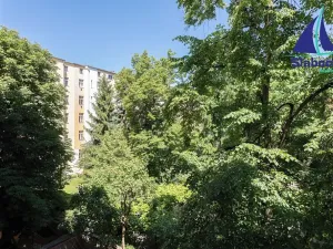 Prodej bytu 3+1, Praha - Vinohrady, Šumavská, 105 m2