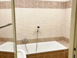 Pronájem bytu 1+1, Praha, V předpolí, 50 m2