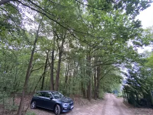 Prodej lesa, Vráž, 3233 m2