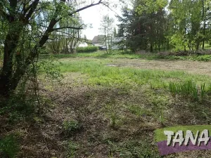Prodej pozemku pro bydlení, Mladějov, 2297 m2