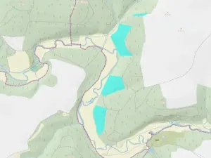 Prodej lesa, Křelovice, 102822 m2