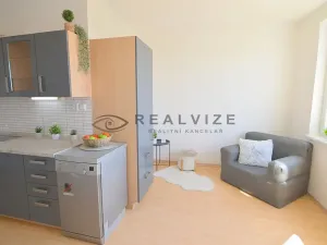 Prodej bytu 2+1, České Budějovice, Větrná, 61 m2