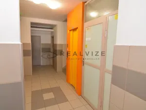 Prodej bytu 2+1, České Budějovice, Větrná, 61 m2