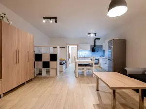 Prodej bytu 1+kk, Vranovice, Nad Dolinami, 48 m2