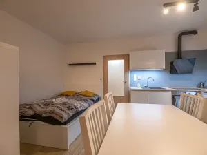 Prodej bytu 1+kk, Vranovice, Nad Dolinami, 48 m2