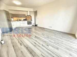 Pronájem bytu 2+kk, Plzeň, Papírnická, 50 m2