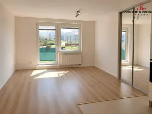 Prodej bytu 1+kk, Praha, Zakšínská, 30 m2