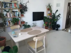 Pronájem bytu 2+1, Olomouc - Nová Ulice, Na Vozovce, 66 m2