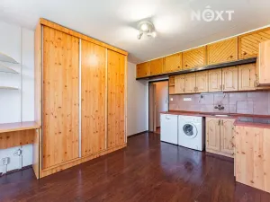 Pronájem bytu 1+kk, Zábřeh, 28. října, 20 m2