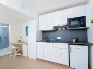 Prodej bytu 1+kk, Praha - Krč, Čerčanská, 20 m2