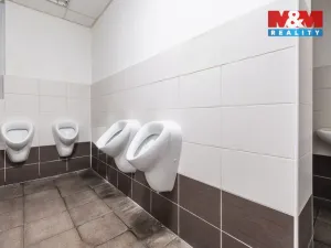Prodej restaurace, Chomutov, Husova, 308 m2