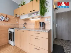 Prodej bytu 1+1, Cheb, Boženy Němcové, 36 m2