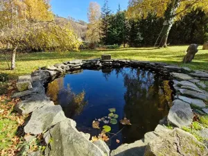 Prodej chalupy, Město Albrechtice, 150 m2