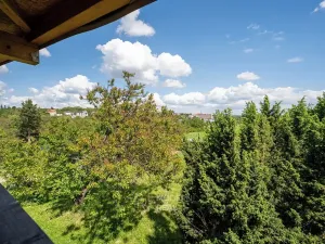 Prodej zahrady, Brno, 301 m2