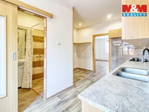 Prodej rodinného domu, Chomutov, Palachova, 252 m2