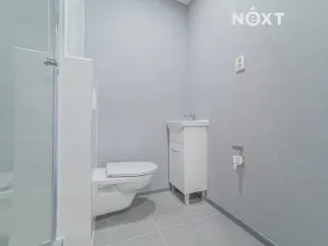 Pronájem bytu 1+1, Ostrava, Svojsíkova, 28 m2