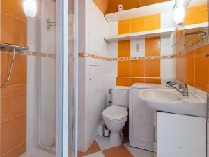 Prodej bytu 1+1, České Budějovice - České Budějovice 2, J. Opletala, 36 m2