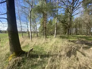 Dražba louky, Hranice, 1061 m2