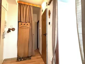 Prodej bytu 1+1, Havířov, Elišky Krásnohorské, 36 m2