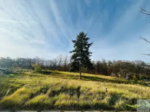 Prodej pozemku pro bydlení, Krnov, 1306 m2
