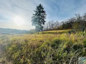 Prodej pozemku pro bydlení, Krnov, 1311 m2