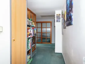 Prodej rodinného domu, Opava, Slezská, 275 m2