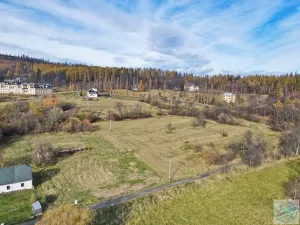 Prodej pozemku pro bydlení, Město Albrechtice, 3681 m2