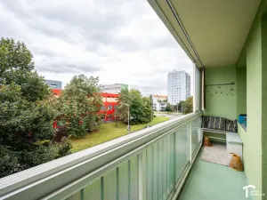 Prodej bytu 4+kk, Pardubice - Zelené Předměstí, K Polabinám, 110 m2