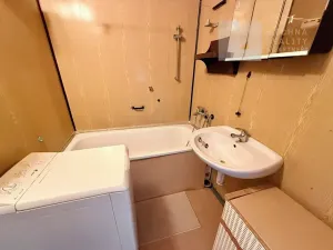 Prodej bytu 1+1, Rosice, Kaštanová, 39 m2