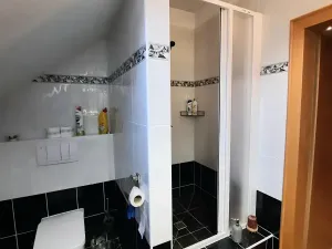 Pronájem rodinného domu, Liberec, Irkutská, 250 m2