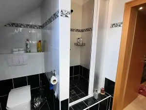 Pronájem rodinného domu, Liberec, Irkutská, 250 m2