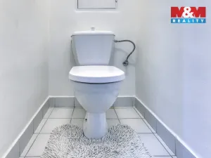 Pronájem bytu 3+1, Červené Poříčí, 70 m2
