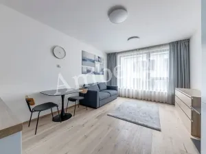 Pronájem bytu 1+kk, Praha - Karlín, Sokolovská, 28 m2