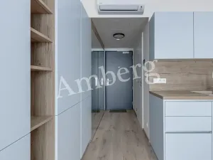 Pronájem bytu 1+kk, Praha - Karlín, Sokolovská, 28 m2