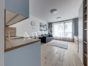 Pronájem bytu 1+kk, Praha - Karlín, Sokolovská, 28 m2