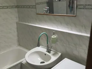 Pronájem bytu 1+1, Olomouc - Slavonín, Topolová, 48 m2