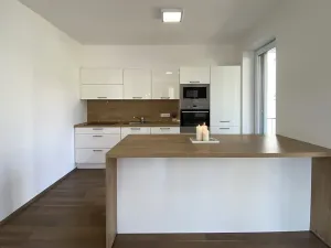 Pronájem bytu 2+kk, Brno, Kollárova, 85 m2